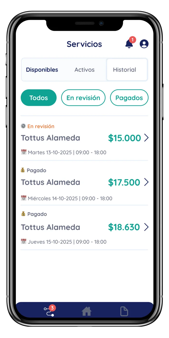 Payment history screen in the Druppify app